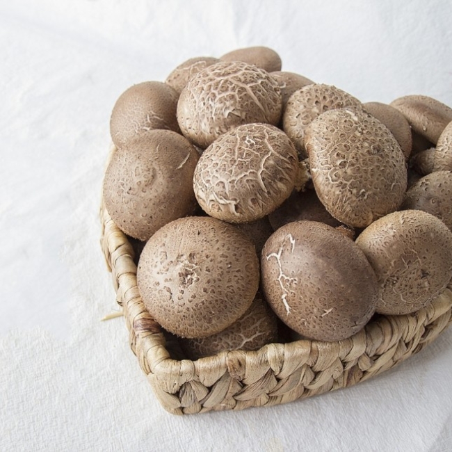  생표고버섯1kg(상품)