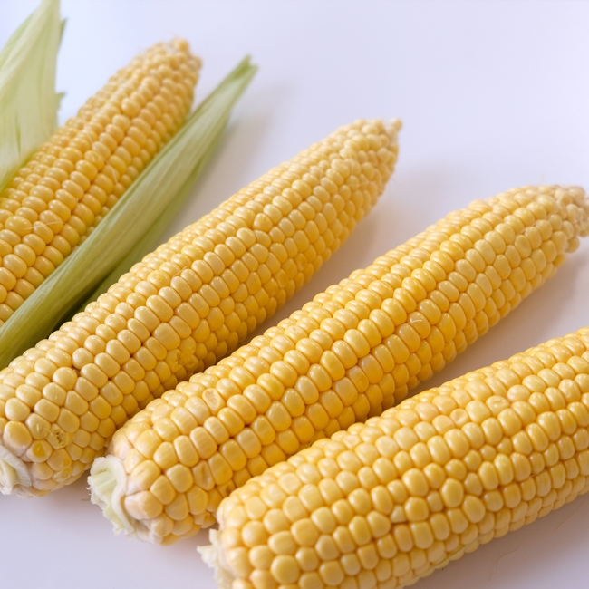 (냉동) 강원도 초당옥수수 (특) 10개입 / 20개입 / 30개입 / 50개입
