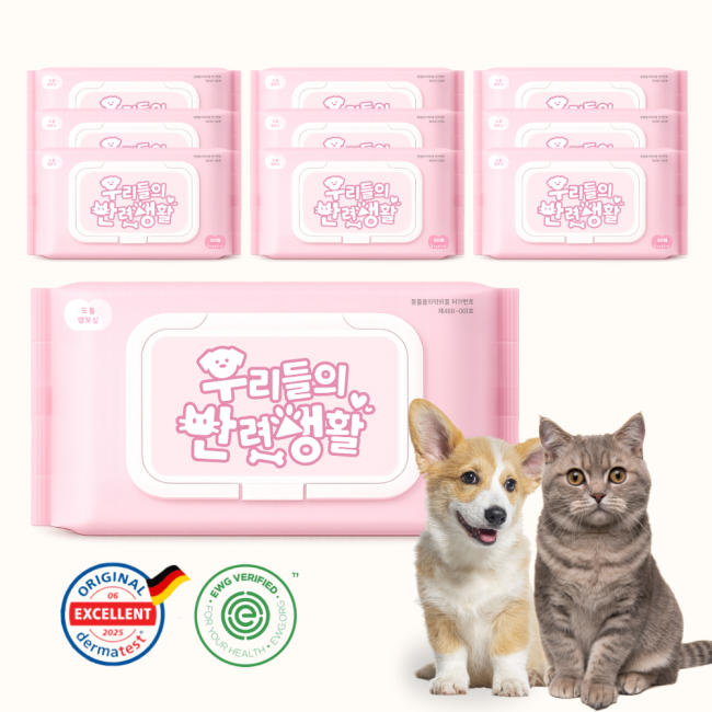 프리미엄 펫티슈