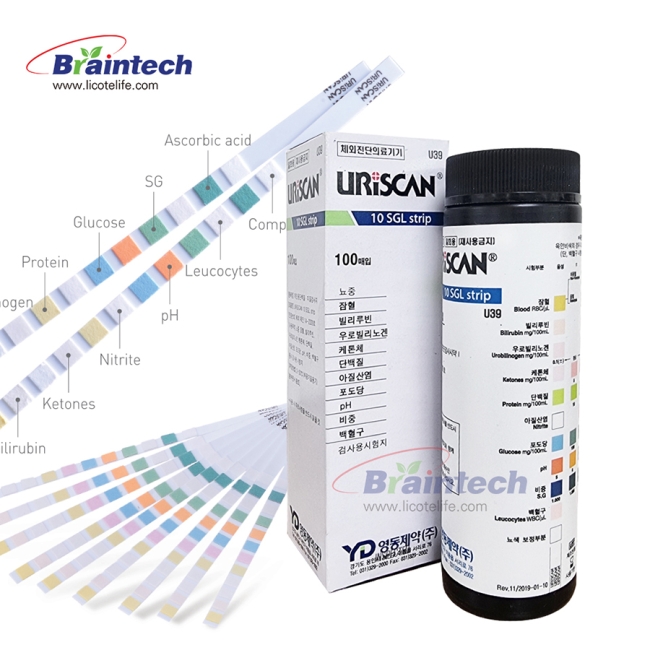소변검사스틱  당뇨혈뇨  영동스트립10종검사 테스트 단백뇨 유린스틱 100매 