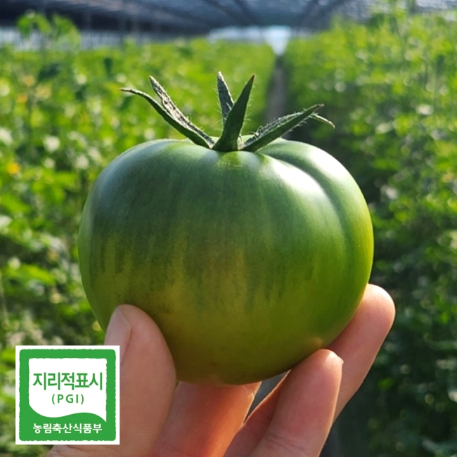 정품 대저토마토 (M) 1kg / 2.5kg