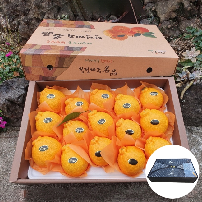 (선물용) 한라봉+부직포선물가방 3kg(7-14과) / 5kg(11-20과)