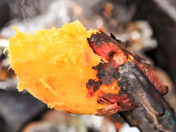 해남 꿀밤고구마 특상 3kg / 5kg / 10kg