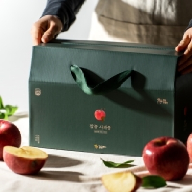 깔끔푸드 직접재배 자체생산 100% NFC 착즙 프리미엄 사과즙 100ml x 30포