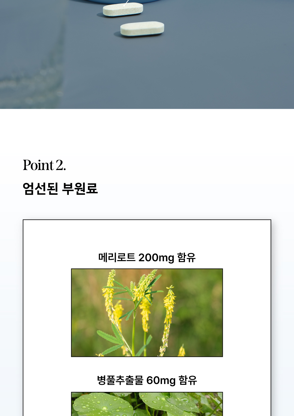 [칼륨+메리로트+병풀+대나무수액] 마로셀 칼센트 1BOX (120정)